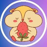 ХОМЯК / Товары за отзывы Wildberries /ozon