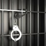 Профессионал юрист