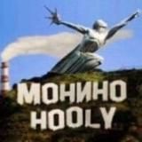 Типичное МОНИНО™