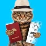 Вокруг света с Koti Travel 🌍 Путешествия