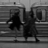 𝐬𝐢𝐫𝐢𝐮𝐬