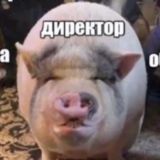 Плохие шутки