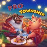 PRO Township