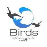 BIRDS — работа за границей