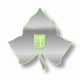 Living Next Door to Alice