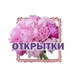 Авторские открытки 💌