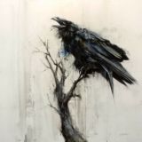 Crow_Info