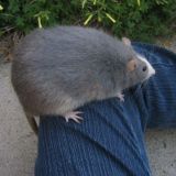 УМСКУЛ ОБЩЕСТВОЗНАНИЕ 2019-2020