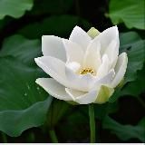 Маленький секрет аромапсихолога 🤫