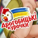 Дрогобицькі Курочки [Запасний канал]