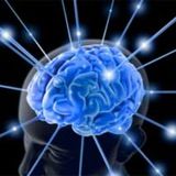 Бизнес Мозг