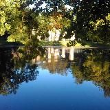 Софи Виге. Что-то про творчество и дурацкие мысли