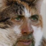 Андрей Сидоропуло