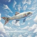 Фокус Босха