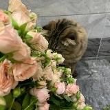 База Постовшиков