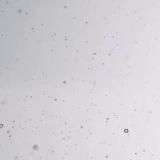 Фабрика Мебели GM