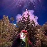 кколесn🐈‍⬛