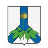 Администрация Дальнереченского муниципального района