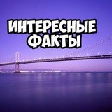 Интересные факты