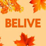 Чат Белгород - Билайв