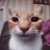 🧸𝚏𝚒𝚗𝚜𝚖𝚎𝚗🧸