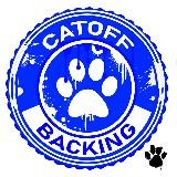 CatOFF: Начни зарабатывать покером!