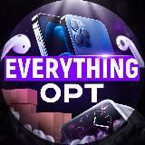 Everything Opt
