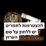 תוכנה סימים סשנים מתכנת