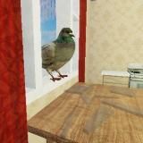 🕊️Голубь в бане🍄