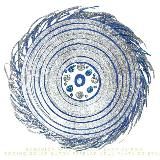 EVOLUCIÓN. YO SOY DH'LY. APOYO A QUE RECONOZCAS TU CONSCIENCIA. NAVE ZALLIFE💎. ANDROMEDANA