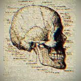 Эксгумация