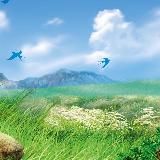 Общественная палата Башкортостана