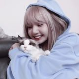 вирт стикеры, гифы лиса.