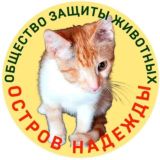 Юристы/чат