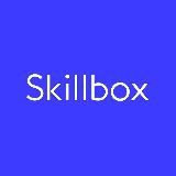 КУРСЫ SKILLBOX ❘ СЛИВЫ КУРСОВ