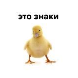 это знаки