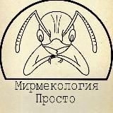 Мирмекология– Просто