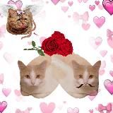 Я оцениваю буханки