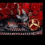 🧟🎧👻🎙🎃👨🎤RADIO GILL HOUSE👩🎤🎃🎙👻🎧🧟