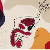 Andrology and reconstructive urology