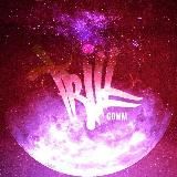 ТРИЛЛОВСКИЕ БУДНИ 🐦