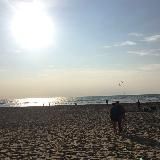 В Нидерландах