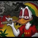 Накрыло, бро! Chat