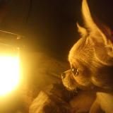 Колыбель историй