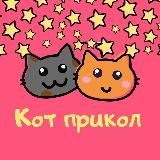 Кот Прикол