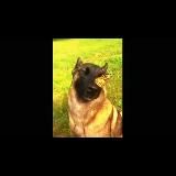 🔸Ржака и Кринж🔸