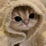 Стикеры на все случаи жизни