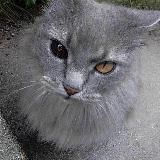 подслушано тг