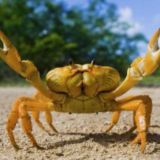 La Locanda degli Anime Seri