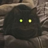 Анечкин косметос и флуд